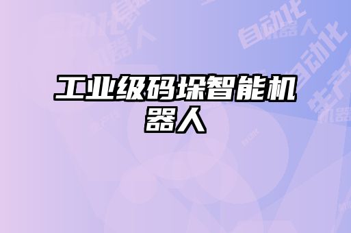 工業(yè)級碼垛智能機(jī)器人