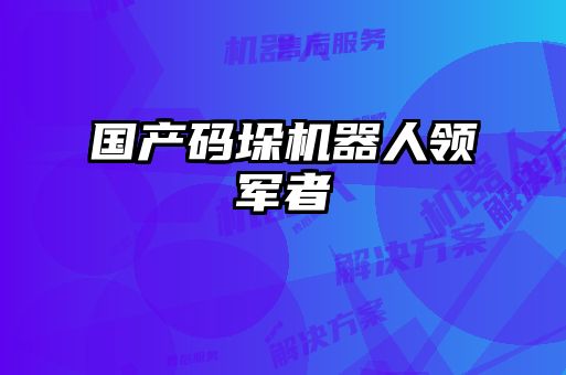 國產(chǎn)碼垛機(jī)器人領(lǐng)軍者