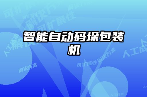 智能自動碼垛包裝機(jī)