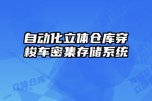自動(dòng)化立體倉(cāng)庫(kù)穿梭車密集存儲(chǔ)系統(tǒng)