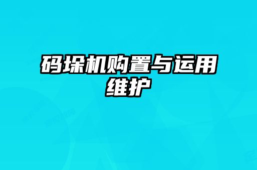 碼垛機(jī)購置與運用維護(hù)