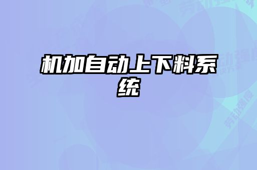 機(jī)加自動上下料系統(tǒng)
