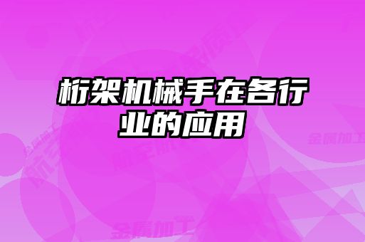 桁架機(jī)械手在各行業(yè)的應(yīng)用