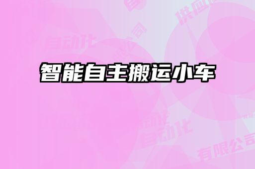 智能自主搬運(yùn)小車(chē)