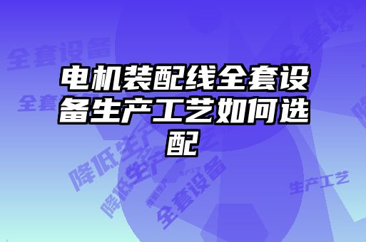 電機裝配線全套設備生產(chǎn)工藝如何選配