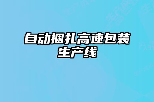 自動(dòng)捆扎高速包裝生產(chǎn)線