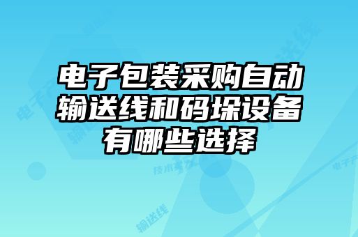 電子包裝采購自動(dòng)輸送線和碼垛設(shè)備有哪些選擇