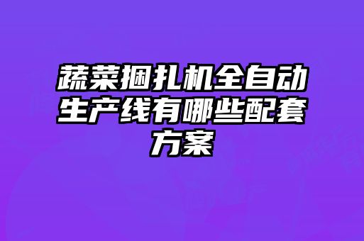 蔬菜捆扎機(jī)全自動生產(chǎn)線有哪些配套方案