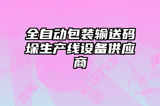 全自動包裝輸送碼垛生產(chǎn)線設備供應商