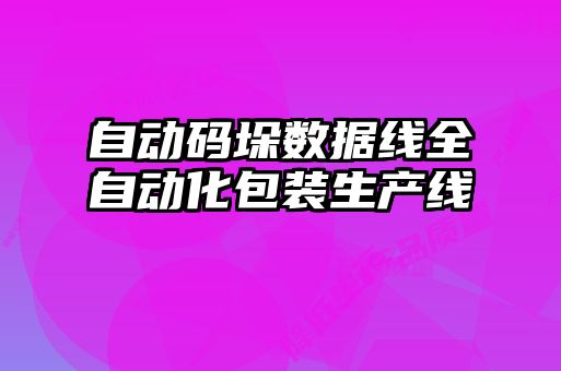 自動碼垛數(shù)據(jù)線全自動化包裝生產(chǎn)線