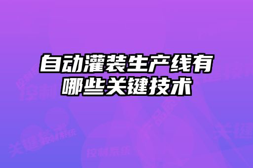 自動(dòng)灌裝生產(chǎn)線有哪些關(guān)鍵技術(shù)