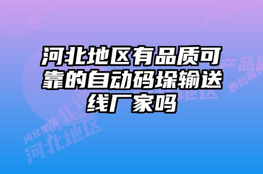 河北地區(qū)有品質(zhì)可靠的自動(dòng)碼垛輸送線廠家嗎