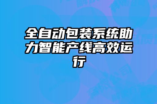 全自動(dòng)包裝系統(tǒng)助力智能產(chǎn)線高效運(yùn)行