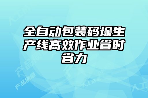 全自動(dòng)包裝碼垛生產(chǎn)線高效作業(yè)省時(shí)省力