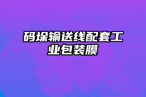 碼垛輸送線配套工業(yè)包裝膜