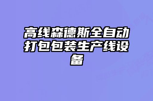 高線森德斯全自動(dòng)打包包裝生產(chǎn)線設(shè)備