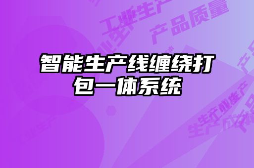 智能生產(chǎn)線纏繞打包一體系統(tǒng)