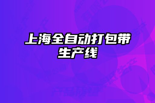 上海全自動打包帶生產(chǎn)線