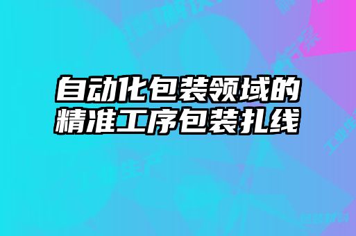 自動(dòng)化包裝領(lǐng)域的精準(zhǔn)工序包裝扎線