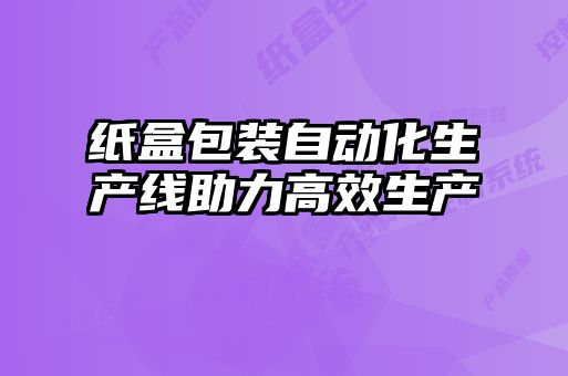 紙盒包裝自動(dòng)化生產(chǎn)線助力高效生產(chǎn)