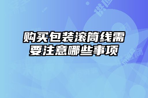 購(gòu)買(mǎi)包裝滾筒線需要注意哪些事項(xiàng)